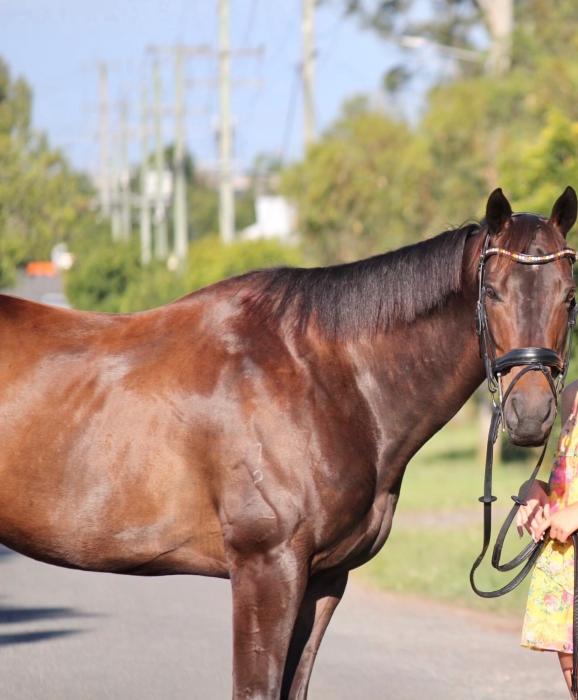 OTTB - River