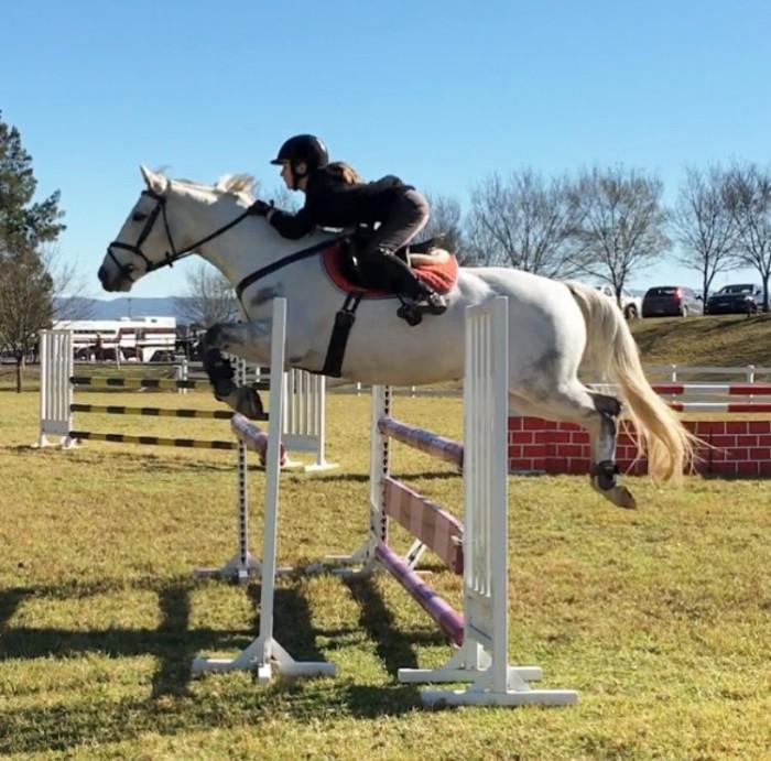 **DREAM SCHOOLMASTER**