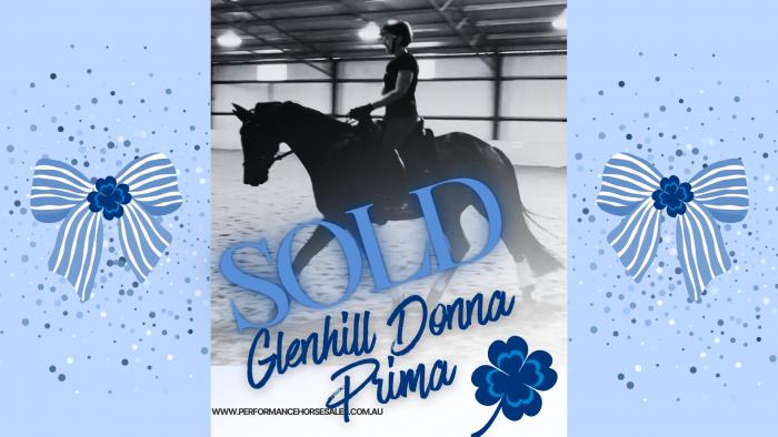 Glenhill Donna Prima by Bluefields Dankeschoen