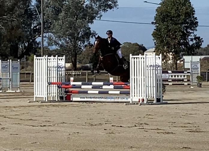 Flashy moving mare
