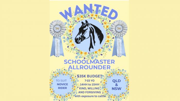 WANTED TO BUY - Schoolmaster allrounder