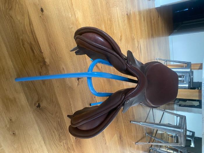 Horsezone Buy, show, sell horses and equestrian related products