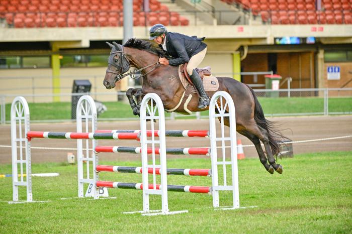 Talented and Eye-Catching jumper