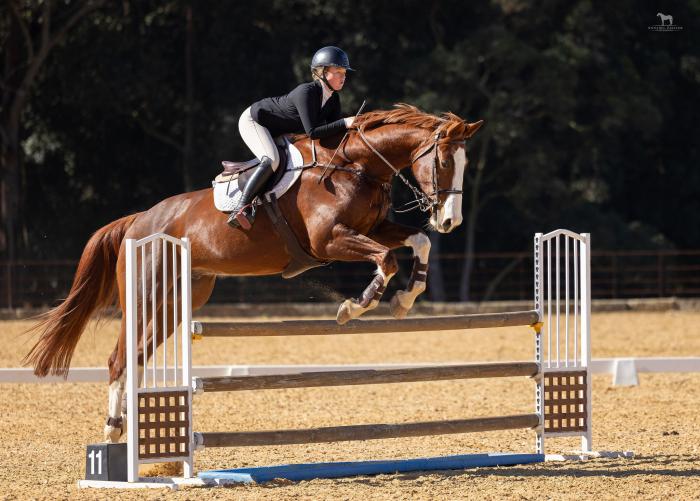 Your Future Showjumping Star - KPH CASSARCHI
