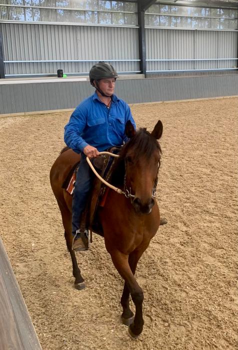 Connemara x mare - Epona Brielle