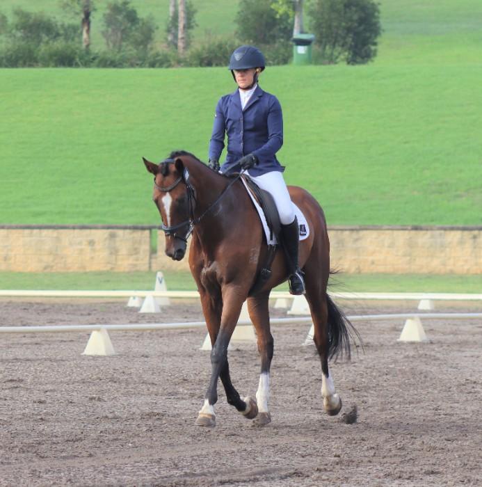 Eventing Schoolmaster