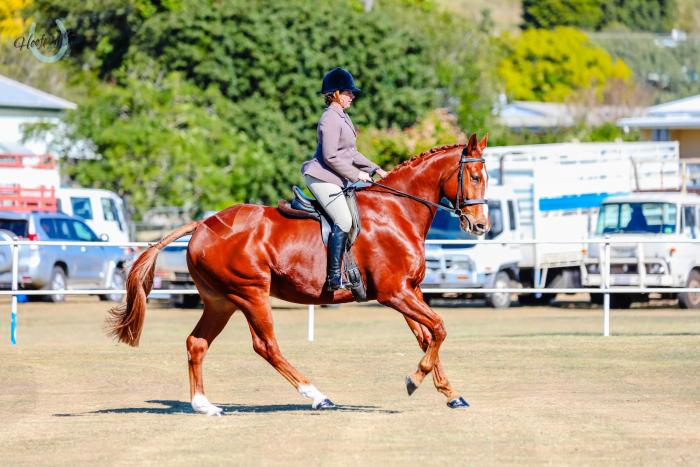 Ideal Eventer