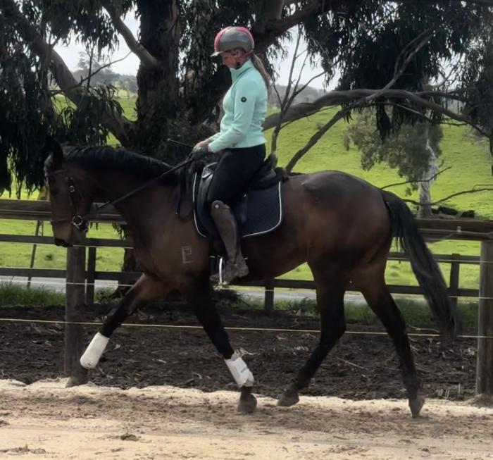 COMPETITIVE ALLROUNDER