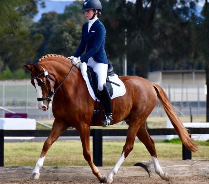 Deveron Let’s Dance 100% GRP