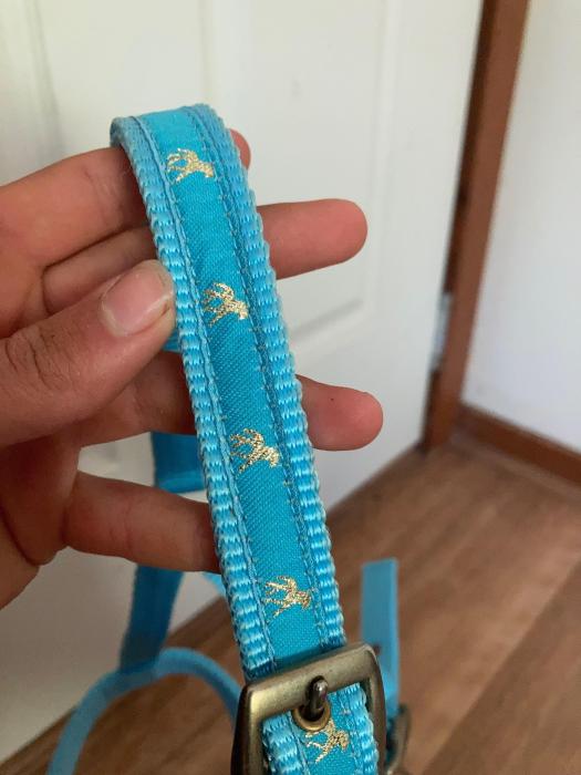 Blue and gold foal halter