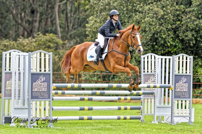 Ultimate Jumping Schoolmaster