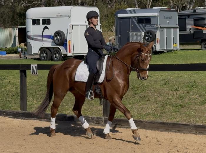 Advanced Schoolmaster