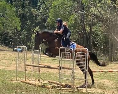 Springvale First Waltz