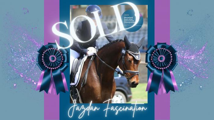 Jazdan Fascination - Advanced Dressage/ Show