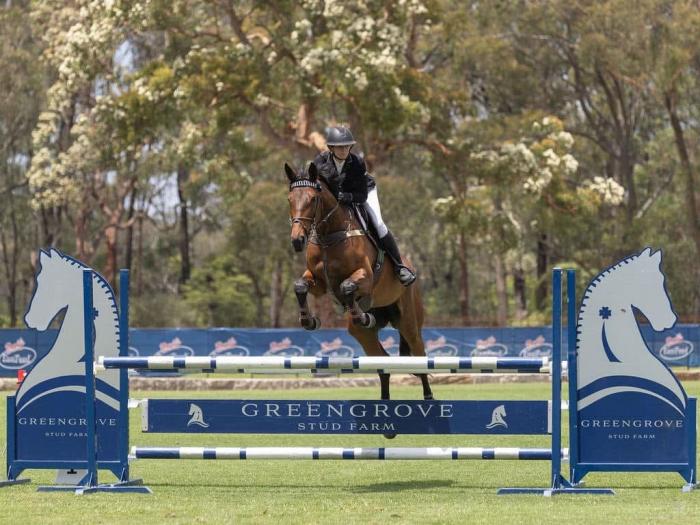 Competitive showjumper