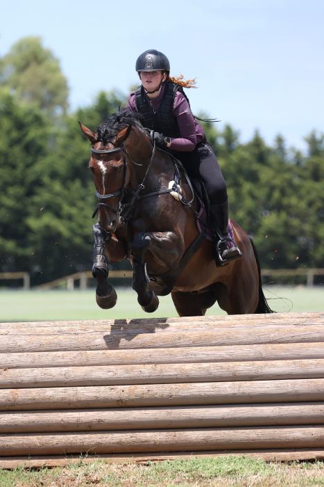 Experienced eventer looking for his next partner!