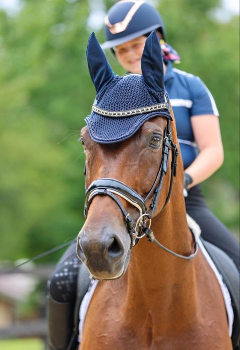 Ultimate Dressage Schoolmaster