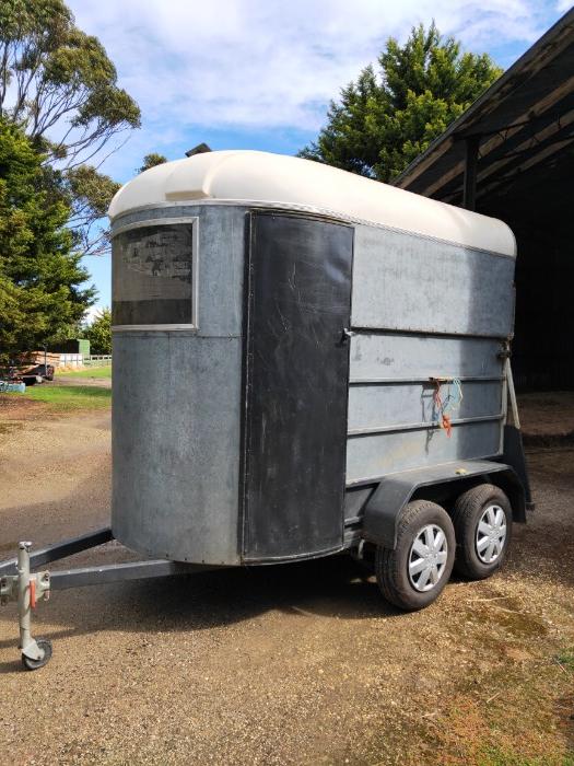 Horsezone Buy, show, sell horses and equestrian related products