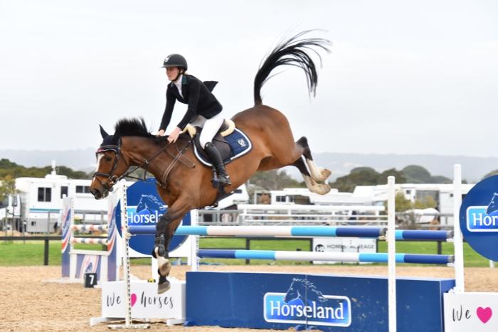 Showjumping Juniors &amp; Amateurs Horse with scope+