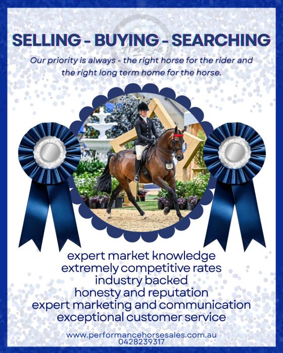 Buying? Selling? Searching?