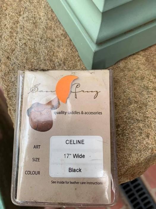 Santa Cruz Celine 17” Black