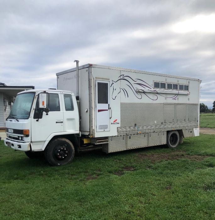 Horsezone Buy, show, sell horses and equestrian related products