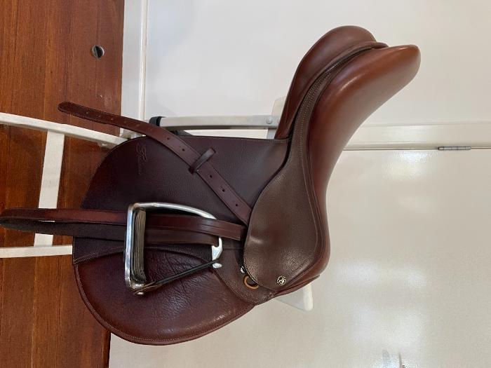 Horsezone Buy, show, sell horses and equestrian related products